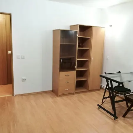 Civic Center Apartment *