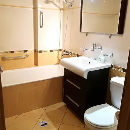 Civic Center Apartment Brasov